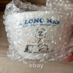 Snoopy Charlie Brown Ceramic Plate Set 2 Large Cafe Cups Character Kitchenware