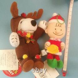 Snoopy Charlie Brown Magnet Ornament Christmas