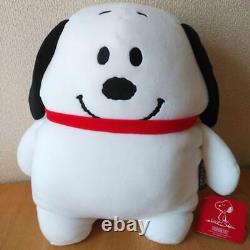 Snoopy Charlie Brown Plush Peanuts