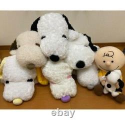 Snoopy. Charlie Brown. Plush toys Sold separately