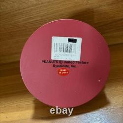Snoopy Charlie Brown Snow Globe PEANUTS Collectible Figurine Japan