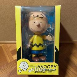 Snoopy Medicom Toy Vcd Figure Charlie Brown