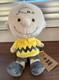 Snoopy Museum Exclusive Charlie Brown Plush Doll Loose Unused
