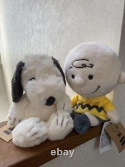 Snoopy Museum Loose Stuffed Toy Charlie Brown