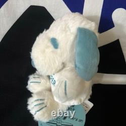 Snoopy Surf Shop Plush Toy, Charlie Brown Character, Unused, Japan Import