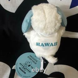 Snoopy Surf Shop Plush Toy, Charlie Brown Character, Unused, Japan Import