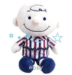 Snoopy Tricolor Pattern M Size Stuffed Toy Charlie Brown