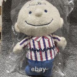 Snoopy Tricolor Pattern M Size Stuffed Toy Charlie Brown