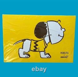 Super7 2019 Sdcc 16 Peanuts Snoopy Charlie Brown Mask Designer Art Toy