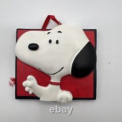 UFS Peanuts Snoopy Charlie Brown Lucy & Gang Flat Square Ornaments Set of 9 /DVD