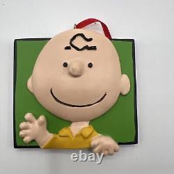 UFS Peanuts Snoopy Charlie Brown Lucy & Gang Flat Square Ornaments Set of 9 /DVD