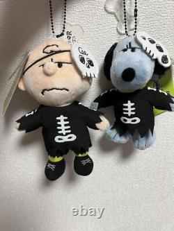 Usj Limited Snoopy Charlie Brown Plush Ball Chain Set