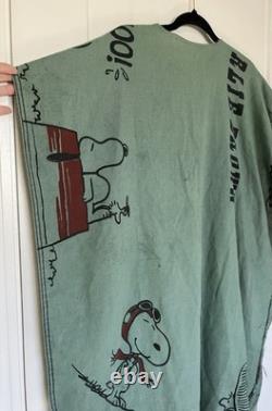 VERY RARE Vntg Snoopy And Charlie Brown Green Poncho Woodstock Peanuts Display