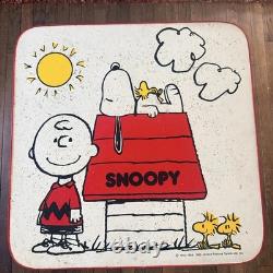 Vintage 1965 Peanuts Snoopy & Charlie Brown Children's Kids Table Mid-Century