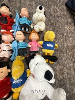 Vintage Peanuts Lot Plush/Toys including Knott's Berry Farm peanuts