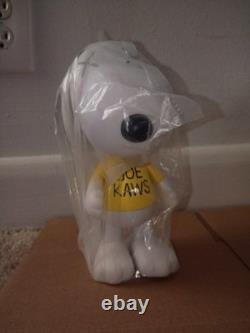 XX kaws. Snoopy Charlie Brown PEANUTS original fake no box