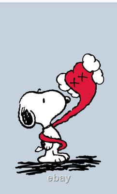 XX kaws. Snoopy Charlie Brown PEANUTS original fake no box