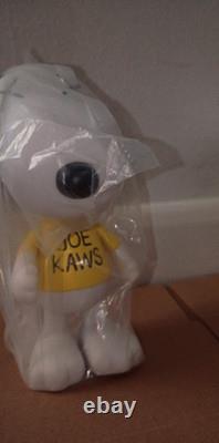 XX kaws. Snoopy Charlie Brown PEANUTS original fake no box