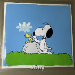 Animation Cel Peanuts Charles Schulz Art Charlie Brown Snoopy Vtg Dessins Animés X1