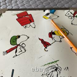Bagages/Sac à dos SNOOPY Vintage Peanuts 1958, 1965 - Rayures et dommages à la doublure