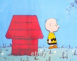 CHARLIE BROWN PEANUTS Charles SCHULZ snoopy ORIGINAL PRODUCTION CEL + DESSIN	<br/> 	   <br/>
(Note: 'CEL' is short for celluloid, a type of transparent sheet used in animation)
