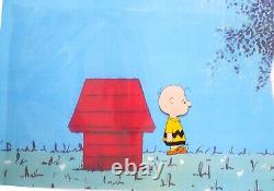 CHARLIE BROWN PEANUTS Charles SCHULZ snoopy ORIGINAL PRODUCTION CEL + DESSIN<br/> <br/> 
(Note: 'CEL' is short for celluloid, a type of transparent sheet used in animation)