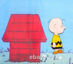 CHARLIE BROWN PEANUTS Charles SCHULZ snoopy ORIGINAL PRODUCTION CEL + DESSIN

 <br/>
 	 <br/>
(Note: 'DESSIN' can also be translated as 'ILLUSTRATION' in this context)