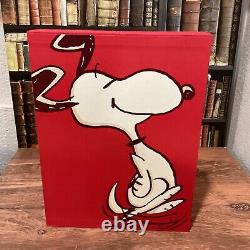 Célébration de Snoopy Livre Relié avec Couverture en Papier Charles Schulz Peanuts Comme Neuf