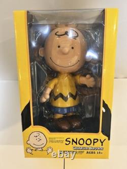 Charlie Brown SNOOPY PEANUTS Medicom Toy 23100