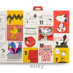 Charlie Brownsnoopyschultz12 Paires de chaussettes de cheville et de crew nouvelles dans une boîte cadeau l@@k