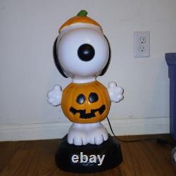 Citrouille lumineuse en plastique soufflé Gemmy de 2' avec Peanuts Charlie Brown et Snoopy pour Halloween