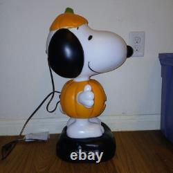 Citrouille lumineuse en plastique soufflé Gemmy de 2' avec Peanuts Charlie Brown et Snoopy pour Halloween