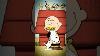 Comment Charlie Brown A Rencontr&eacute; Snoopy Comics Peanuts Bande Dessin&eacute;e Dessins Anim&eacute;s R&eacute;tro Snoopy Le Chien