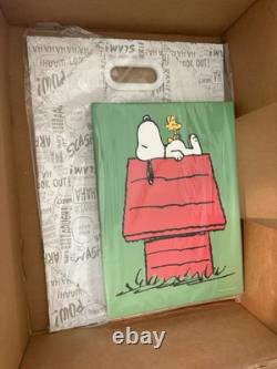 De Agostini Snoopy Set Créez et Collectionnez des Amis ! NEUF 10 caractères + Plus