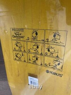 Element Peanuts Skateboard Rare 3 Deck Lot Zwijsen, Snoopy, Charlie Brown Nyjah