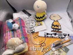 Ensemble de cadeaux de Noël SNOOPY Peanuts, articles Charlie Brown du Japon