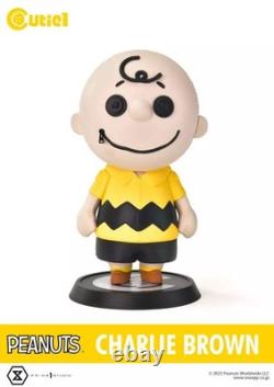 Figurine Charlie Brown PEANUTS SNOOPY Cutie1 Style Peluche Collectible Droits de Douane Payés