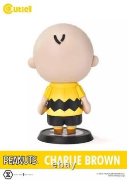 Figurine Charlie Brown PEANUTS SNOOPY Cutie1 Style Peluche Collectible Droits de Douane Payés