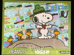 Grand lot de figurines Snoopy, livres, serre-livres, DVD, puzzles, cartes, collection de cacahuètes