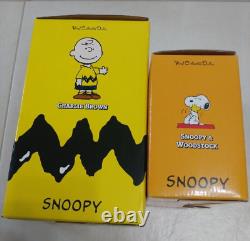 Jouet Medicom Charlie Brun Snoopy & Woodstock Set VCD Vinyl Poupée Collectible