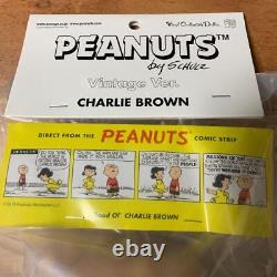 Jouet Medicom VCD Peanuts Charlie Brown Snoopy