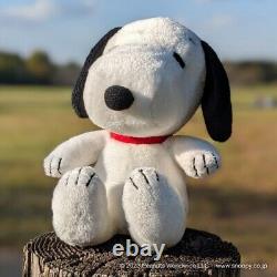 Jouet en peluche du groupe PEANUTS - Ensemble de 12 poupées Snoopy et ses amis Charlie, Lucy et Pig Pen