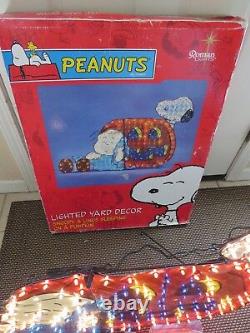Lumières Romaines Halloween Lighted Yard Outdoor Prop Peanuts Snoopy Charlie Brown