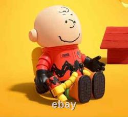 Molly Espace Méga Popmart 100% Charlie Brown & Snoopy Authentique NOUVEAU