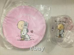 Nwt Pottery Barn Kids Peanuts Valentine Charlie Brown Snoopy Plates Cups Ensemble
