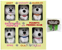 PEANUTS SNOOPY Ensemble de 6 peluches Daisy Hill Puppies Club de fans seulement 30x20cm (2018)