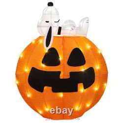 PEANUTS SNOOPY GRANDE CITROUILLE Sculpture de jardin en tinsel éclairée 2,5 pieds 35 LED NEUF