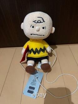 Peluche Peanuts SNOOPY et Charlie Brown, de collection, d’occasion