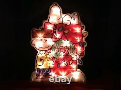 Rare Merry Christmas Peanuts Snoopy Charlie Brown Light Wreath Yard Art Decor