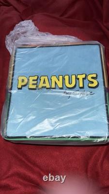 Sac bandoulière Irregular Choice Peanuts Snoopy avec fleurs NWT Épuisé